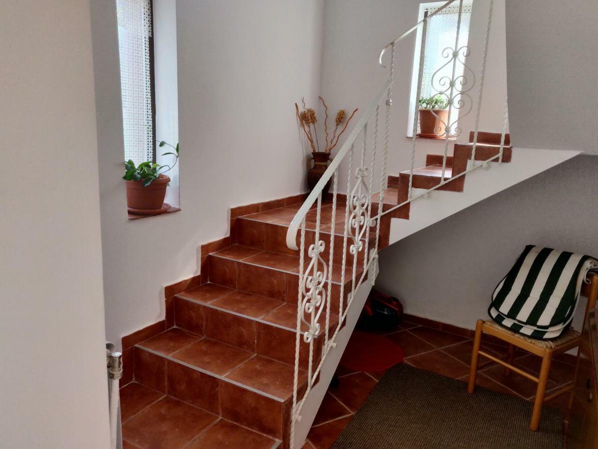 D&D Vila Villa Iasi Esterno foto